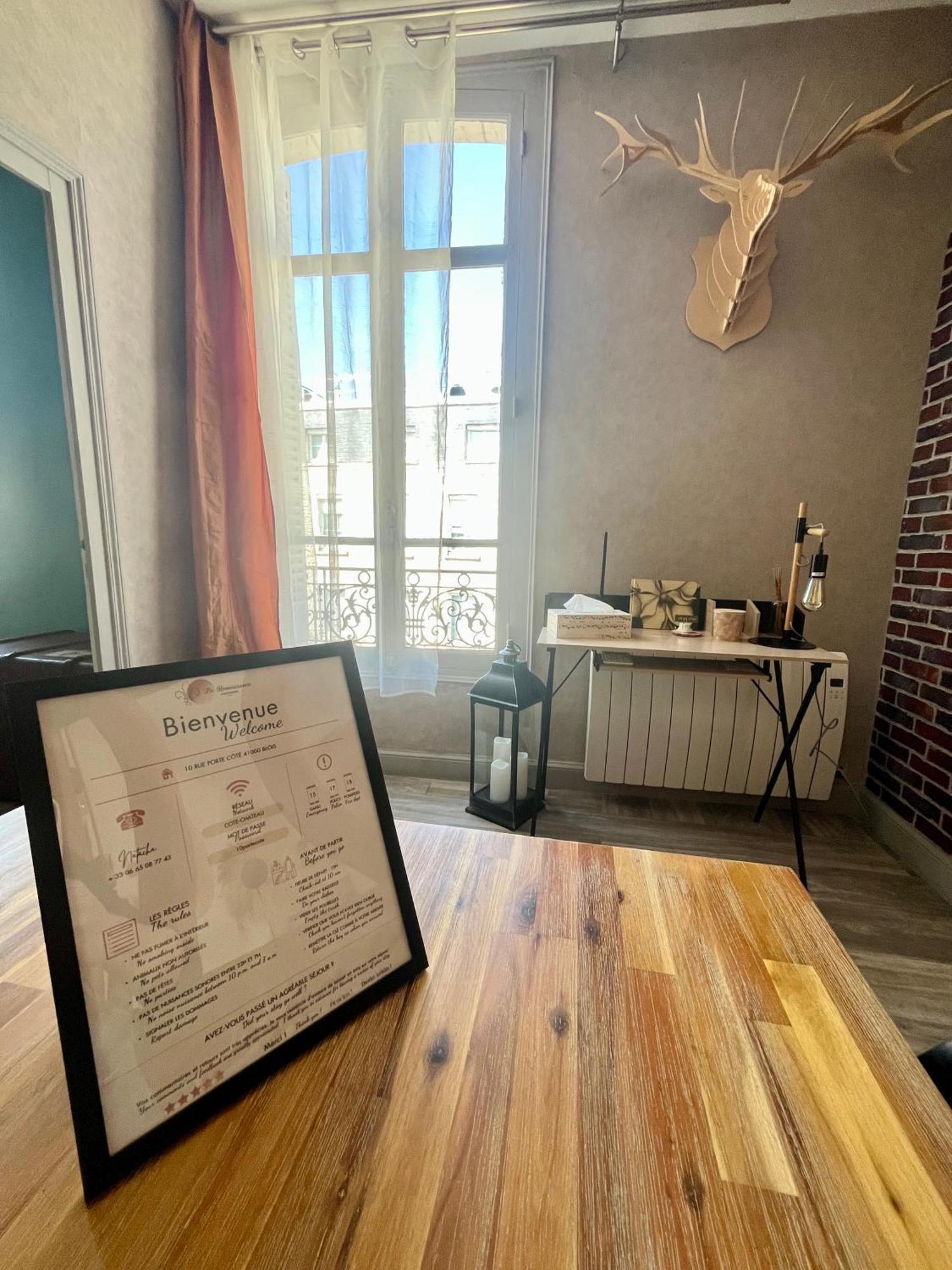 Cote Chateau - Grand Appartement Au Coeur De Blois Exteriör bild